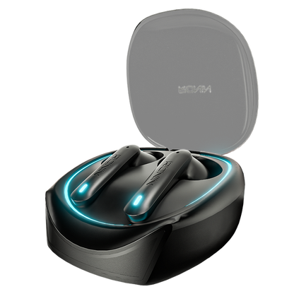 Dynasty Earbuds | R-520