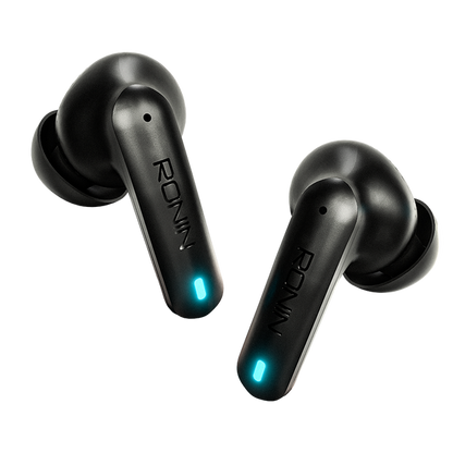 Dynasty Earbuds | R-520